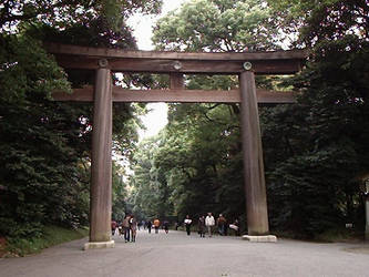 Meiji Jingu Torii