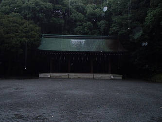 Rain at Meiji Jingu