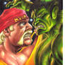 Hulk Hogan Vs The Hulk start