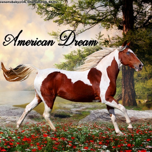 American Dream