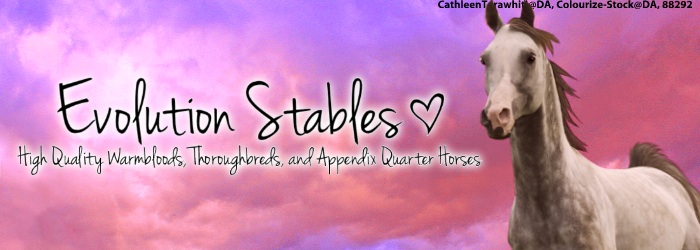 Evolution Stables