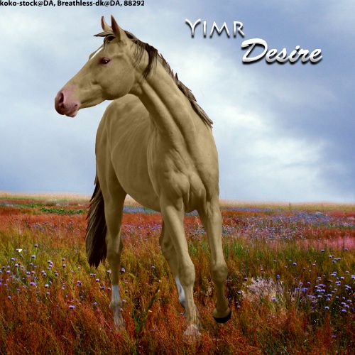 Ymir Desire