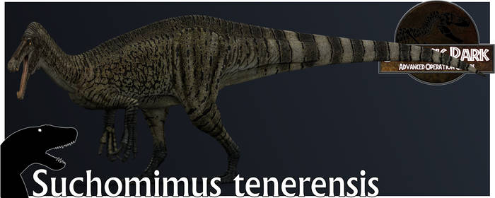 JFD: Suchomimus tenerensis