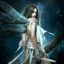 Dark Fairy