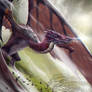 Wind Dragon