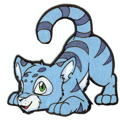 magnet kougra