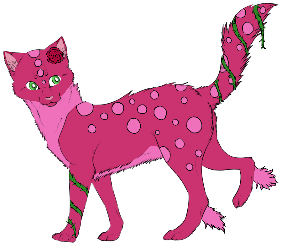 Rose-Cat Adopt | Closed