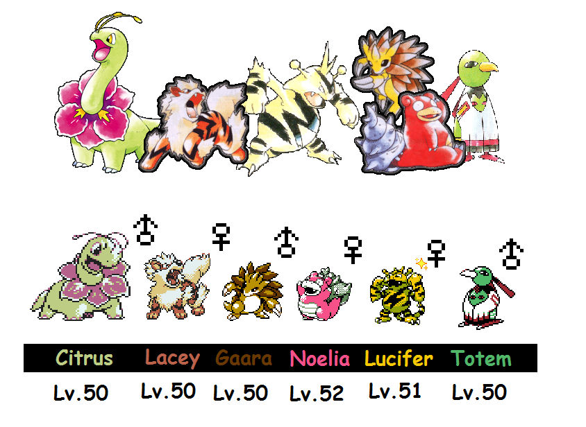 Pokemon Crystal Team by AncientSun1219 on DeviantArt