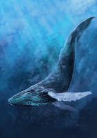 Humpback Whale