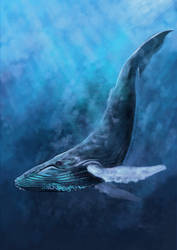 Humpback Whale by endzi-z