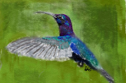 Digital painting: Hummingbird
