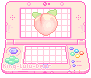 Nintendo DS
