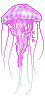 jellyfish jellyfish