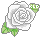 White Rose (Meaning: Innocence, Purity, Charm)