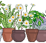 Urban Garden