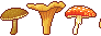 Mushrooms