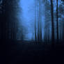 mystical forest premade