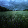 Before storm  -  premade background stock