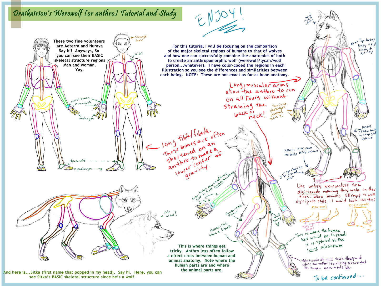 Werewolf Anthro Tutorial pt. 1 by Draikairion