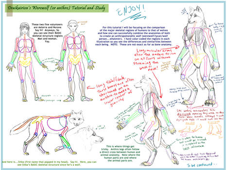 Werewolf Anthro Tutorial pt. 1