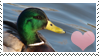 Duck Stamp 2