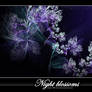 Night blossoms