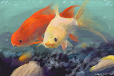 Dailydoodle Feb 14 - Goldfish