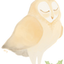 barn owl