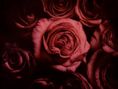 Roses in darkness