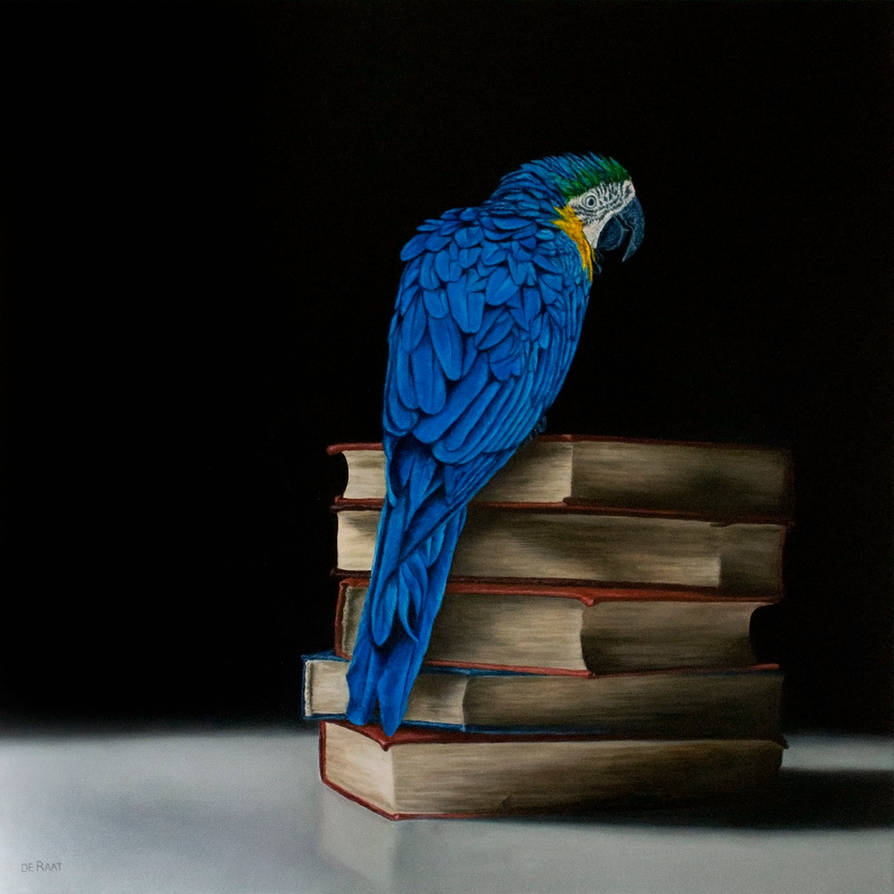 Parrot and books by deRaat