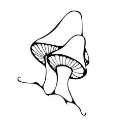 Mushrooms-Lineart