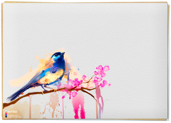 Bird - Realistic Paint Studio