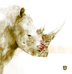 White Rhino