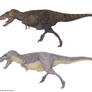 Tyrannosauridae II