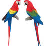 Macaws