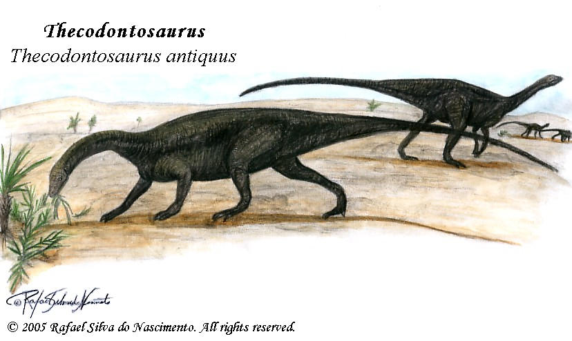 Thecodontosaurus by RSNascimento on DeviantArt