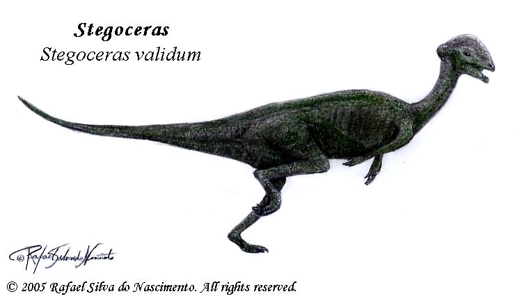 Stegoceras validum by RSNascimento