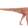 Pachycephalosaurus wyomingnsis