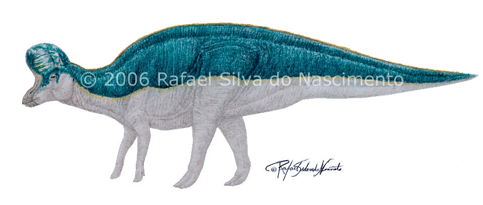 Lambeosaurus laticaudus by RSNascimento on DeviantArt
