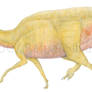 A female Parasaurolophus?
