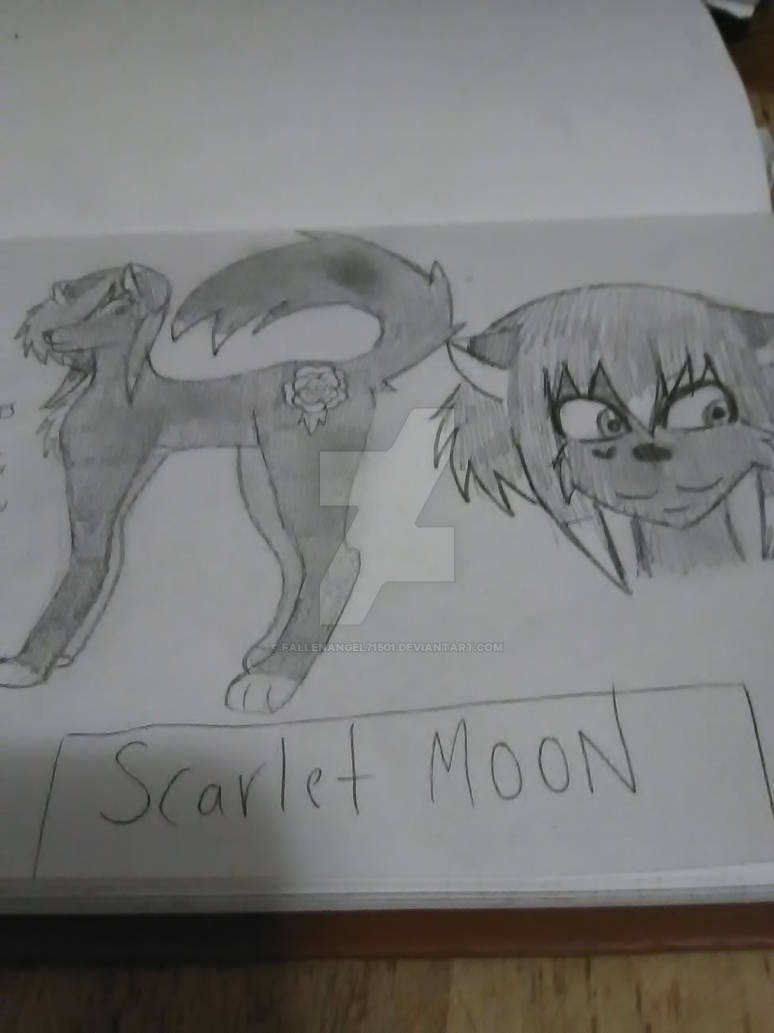 My wolf oc by fallenangel71501 on DeviantArt