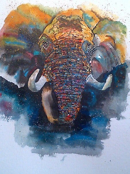 Elephant