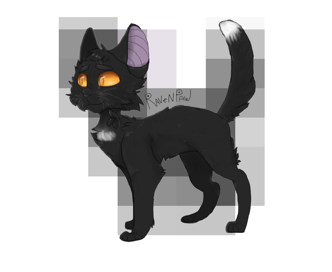 Ravenpaw 