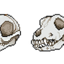 Skull bundle 1