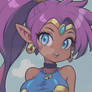 Cartoon Shantae
