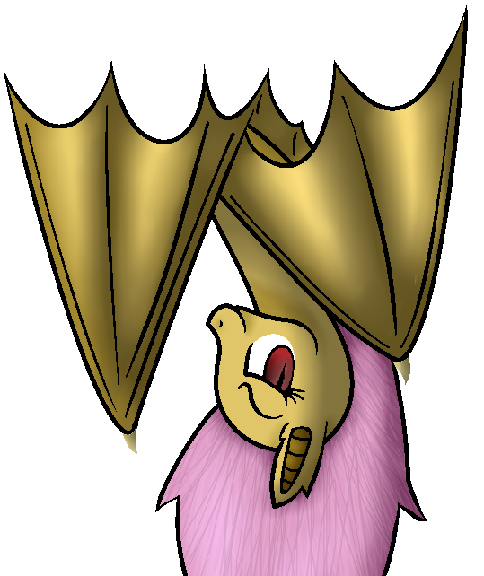Flutterbat Deviantart Front Flutterbat by Wixi2000 on DeviantArt