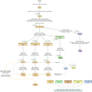 Concept map: River Tribes Ranks