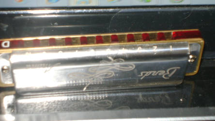 My harmonica called Nataly