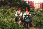 We all love the gnomes by morbidgypsy