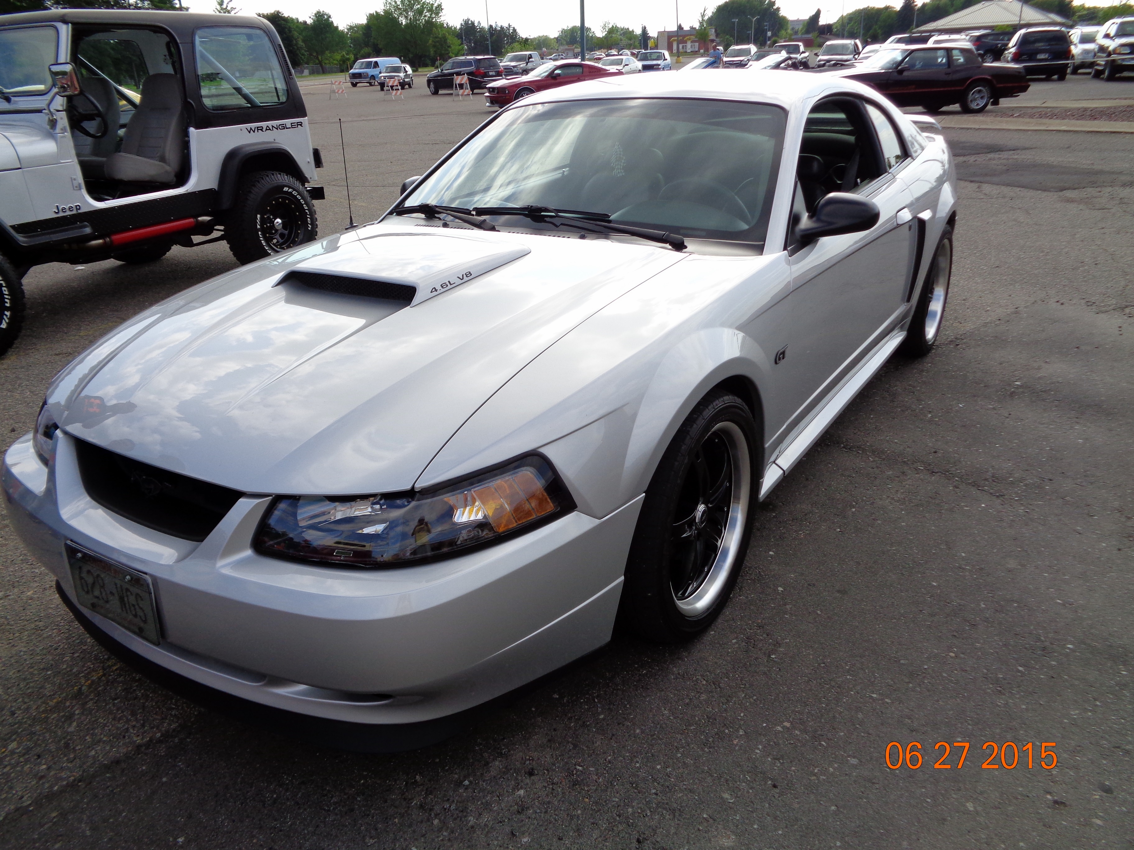 This Stang Again